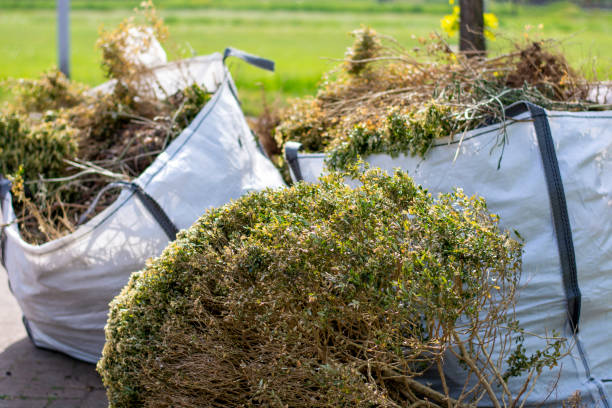 Best Office Junk Removal  in Hemet, CA
